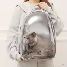 Transparent Bubble Pet Carrier Backpack
